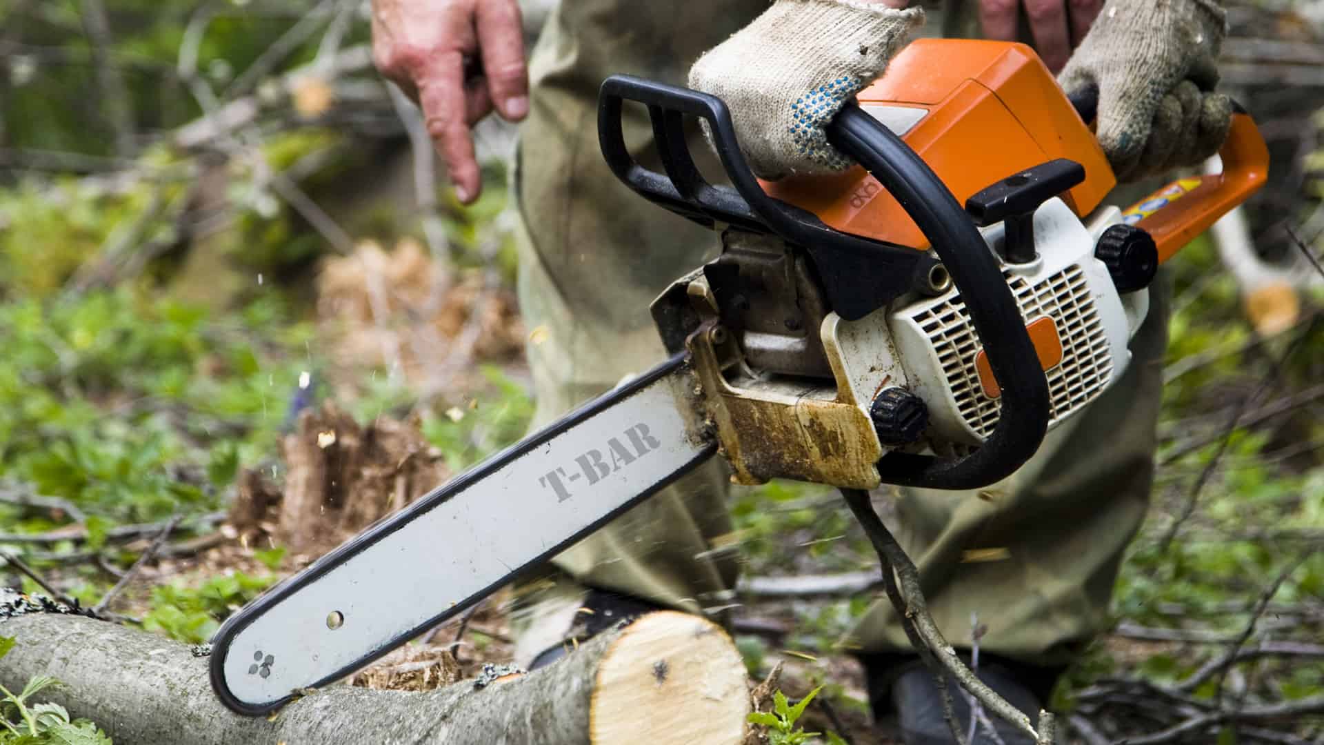 Chainsaw Operation and Safety