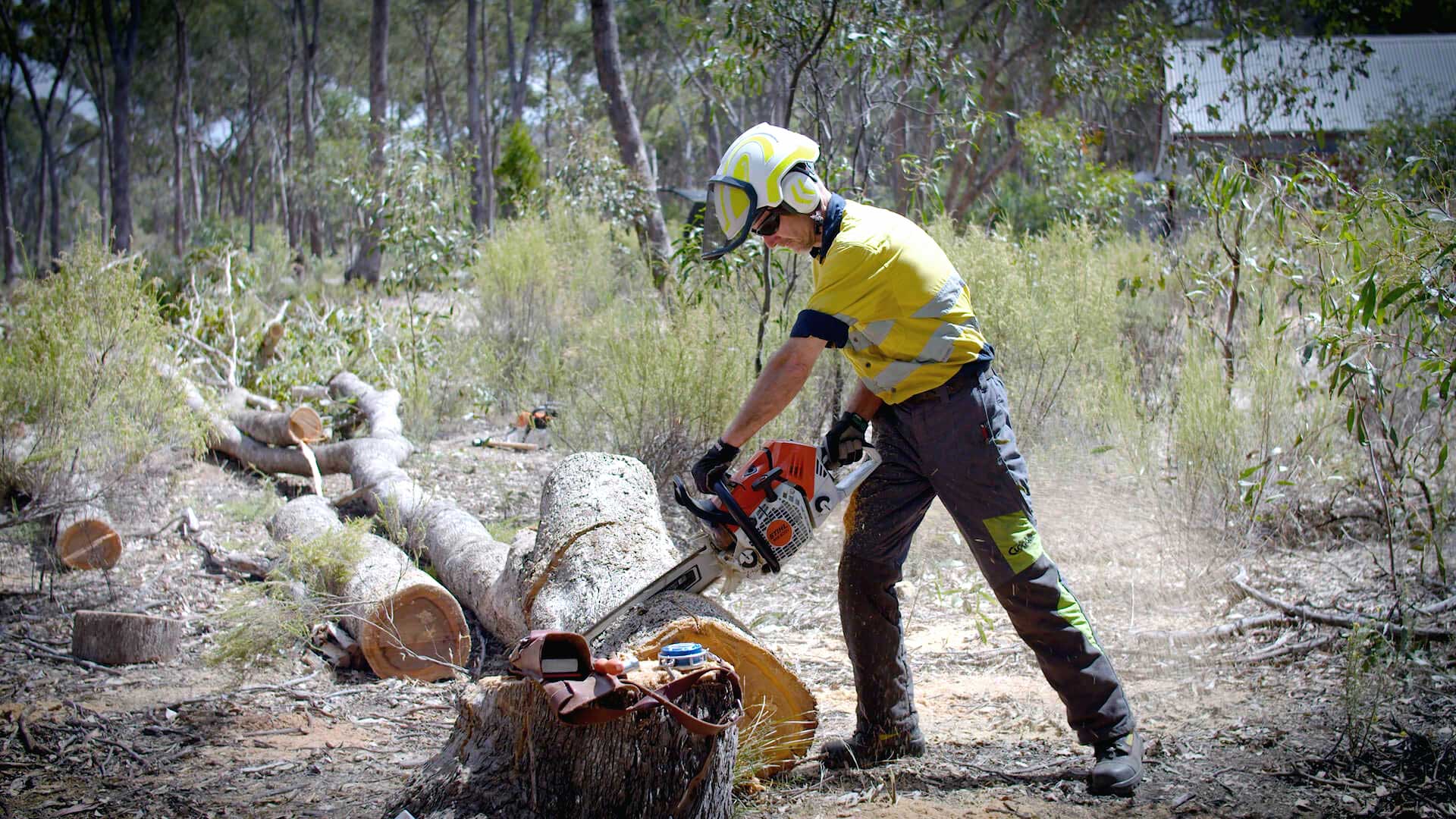 safe chainsaw cutting video